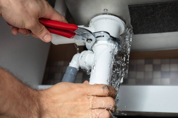 Best Flood damage cleanup  in Woodson Terrace, MO