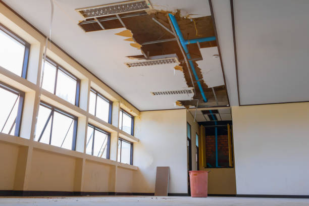 Best 24-hour water damage restoration  in Woodson Terrace, MO