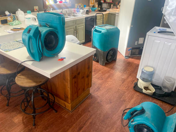Best Residential water damage restoration  in Woodson Terrace, MO