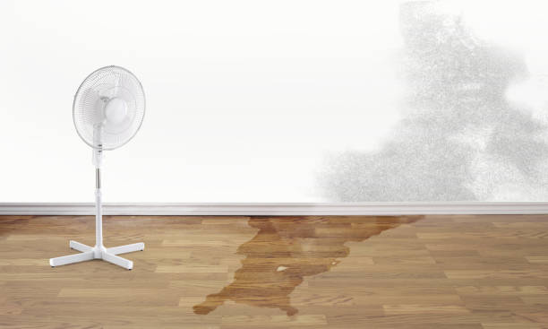 Best Commercial water damage restoration  in Woodson Terrace, MO