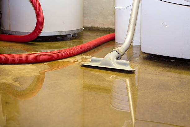 Best Sewage cleanup and water damage restoration  in Woodson Terrace, MO