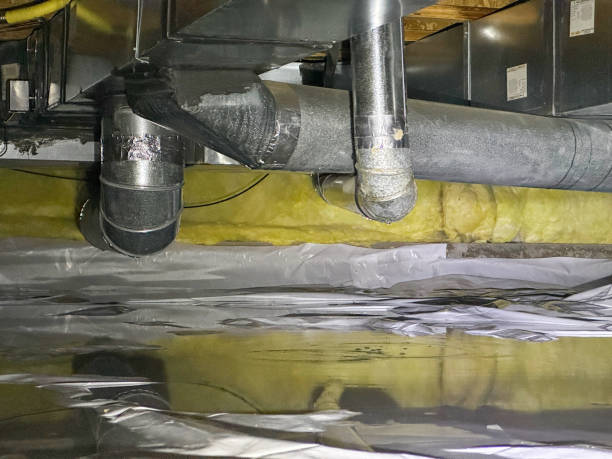 Best Ceiling water damage repair  in Woodson Terrace, MO